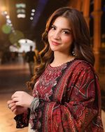 Digital Printed 3 Piece | China Microstich Ari Work Dress - Image 4