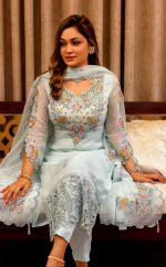 Premium Embroidery Four Piece, Pakistani Four Piece, Embroidered Dress, Tissue Four Piece, Sequence Embroidery, Ladies Four Piece, Women's Fashion